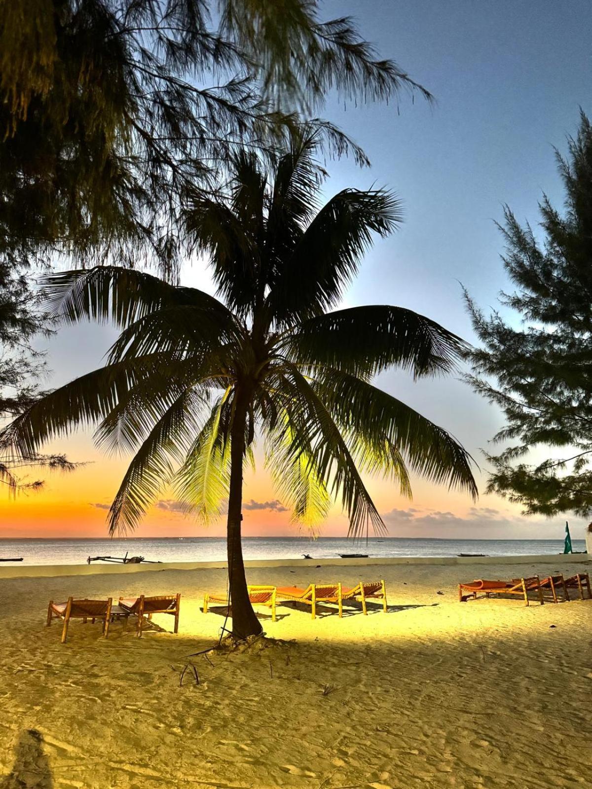 Bahati Sunset Bungalows Michamvi מראה חיצוני תמונה