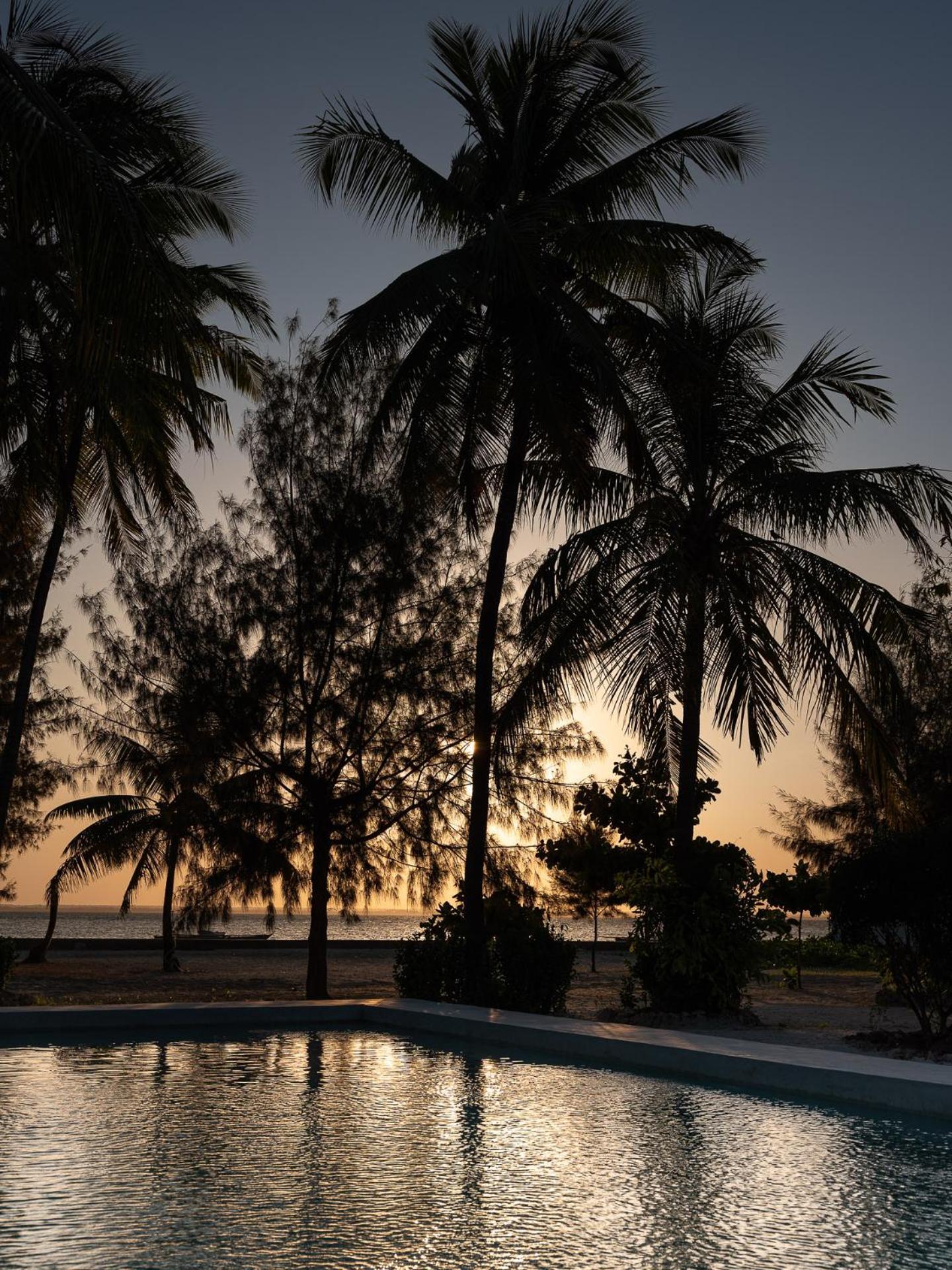 Bahati Sunset Bungalows Michamvi מראה חיצוני תמונה